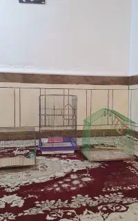 ۳ عدد قفس نو تمیز