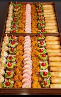 غذای خانگی و فینگر فود