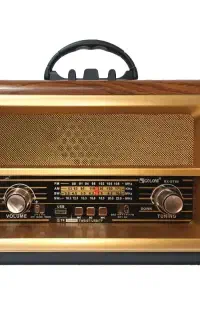 رادیو گولون مدل RX-BT88