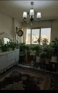 امور نظافت و خدمات منزل انجام میدم