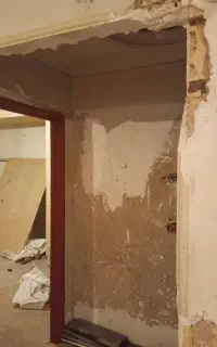 تخریب وباسازی