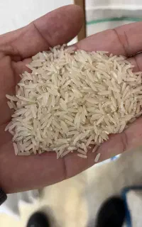 فجر ۹۰روزه
