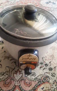 پلوپزبرقی سالم