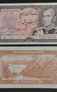 اسکناس شاهی نو
