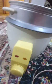 پلوپز سالم