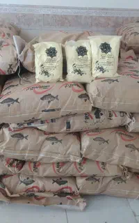 نوره زرنیخ طلایی