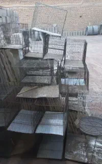 قفس پرنده و مرغ