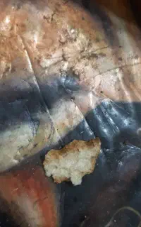 نان‌خشک