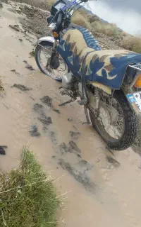 معامله با نیم تلر