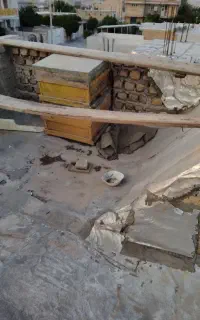 کندو زنبور