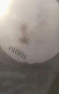 تبل