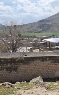 ویولن locto کاملا نو