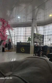 اجاره لاین فشیال ولاین مژه ولاین فرمو زیبایی قوچان