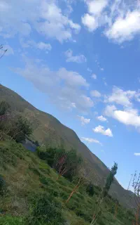 علف زنی بیل زنی باغچه باغ ویلا...