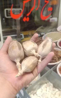 غوزه خشخاش خوراکی دانه های پر بدون شکستگی درهمدان