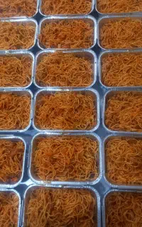 غذا، غذای شرکتی ،غذای مجلسی
