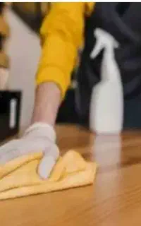 یک خانم جهت نظافت منزل هر چندر روز یک بار