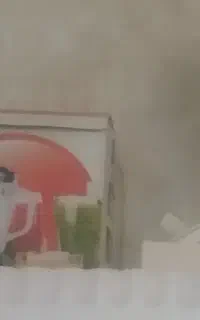 آبمیوه گیر چند کاره و مخلوط کن تک کاره