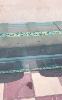 اکواریم بزرگ ۱.۵ متری