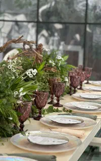 ظروف کرایه/تشریفات/تولد پایتخت