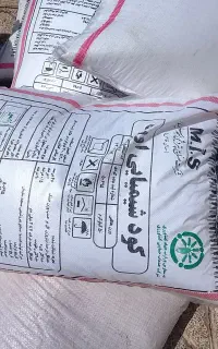 کود سفید مسجد سلیمان