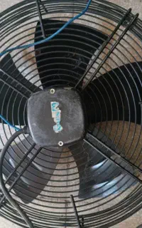 فن بزرگ