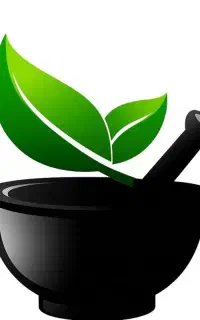 استخدام نیرو برای تولید محتوای اینستاگرام