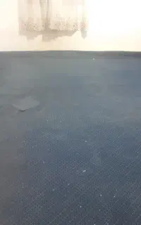 موکت پلازا ۱۴ متری