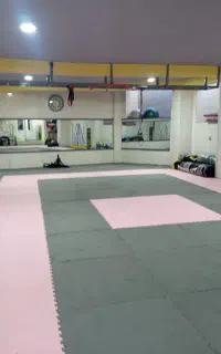 اجاره سانس آکادمی هنرهای رزمی روژ