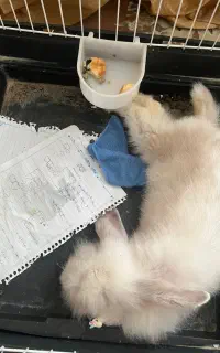 ۳۳۰۰