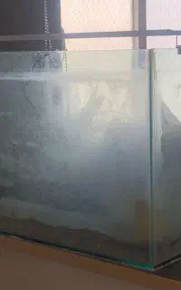 آکواریوم ماهی ، کاملا رایگان