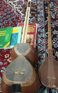 آموزش زبان و موسیقی به صورت آنلاین و حضوری در منزل