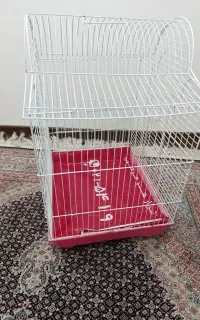 قفس پرنده