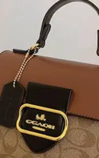 خروس لاری