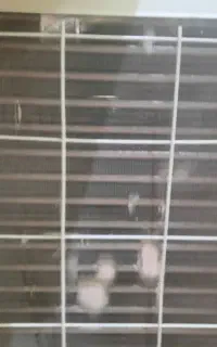 اسپیلت ۱۸ هزار جنرال الحورا سفارش عرب ۱ سال ضمانت