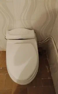 توالت فرنگی