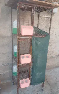 قفس‌پرنده‌مخصوص‌جفتگاه