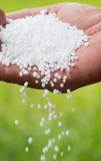 کود اوره