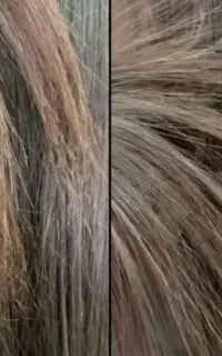 موخوره گیری کاملا تخصصی