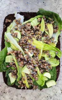 حلزون آچاتینا