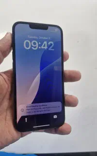 13 Normal