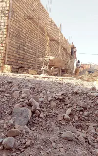 اوستا بنا همه کاره