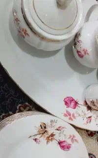 ظروف پذیرایی