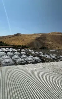کارگر ساده شیلات ( اتباع یا ایرانی فرقی ندارد)