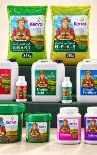 کود ارگانیک کروآ سبوسیب افزایش تناژ