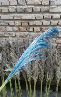 گاله برای تزیین گل