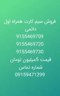 915-541-9808