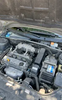 دنا بی رنگ۹۶