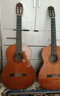 دوعدد گیتار سالم ونو