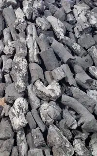 پگری شاخه درجه یک